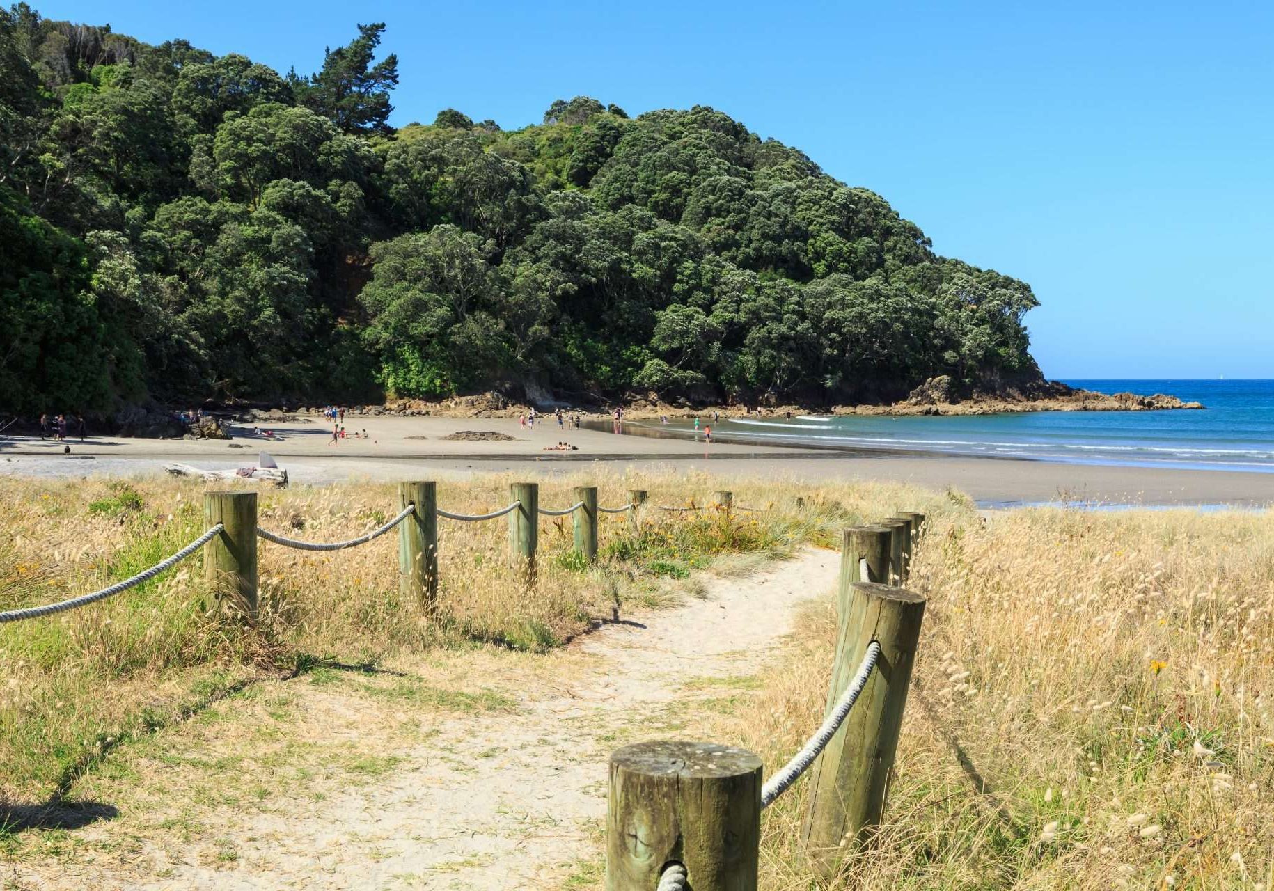 Pathway down to a New Zealand beach in summer. Photographed at Waihi Beach, NZ